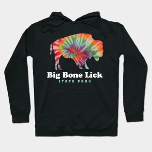 Big Bone Lick State Park Kentucky Bison Tie Dye Fossils Hoodie